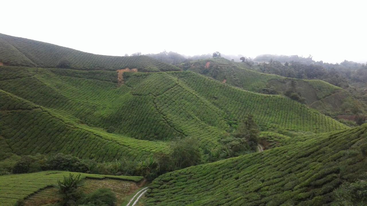 Cameron Golden Hills Resort Tanah Rata Buitenkant foto